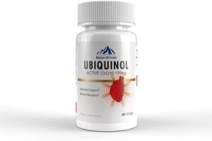 Ubiquinol CoQ10 100mg Capsule– 60 Rely – Heart & Vascular Well being – Energetic Kind of Coenzyme Q10 – 2 Month Provide (1 Bottle) – Pack of 2 Bottles